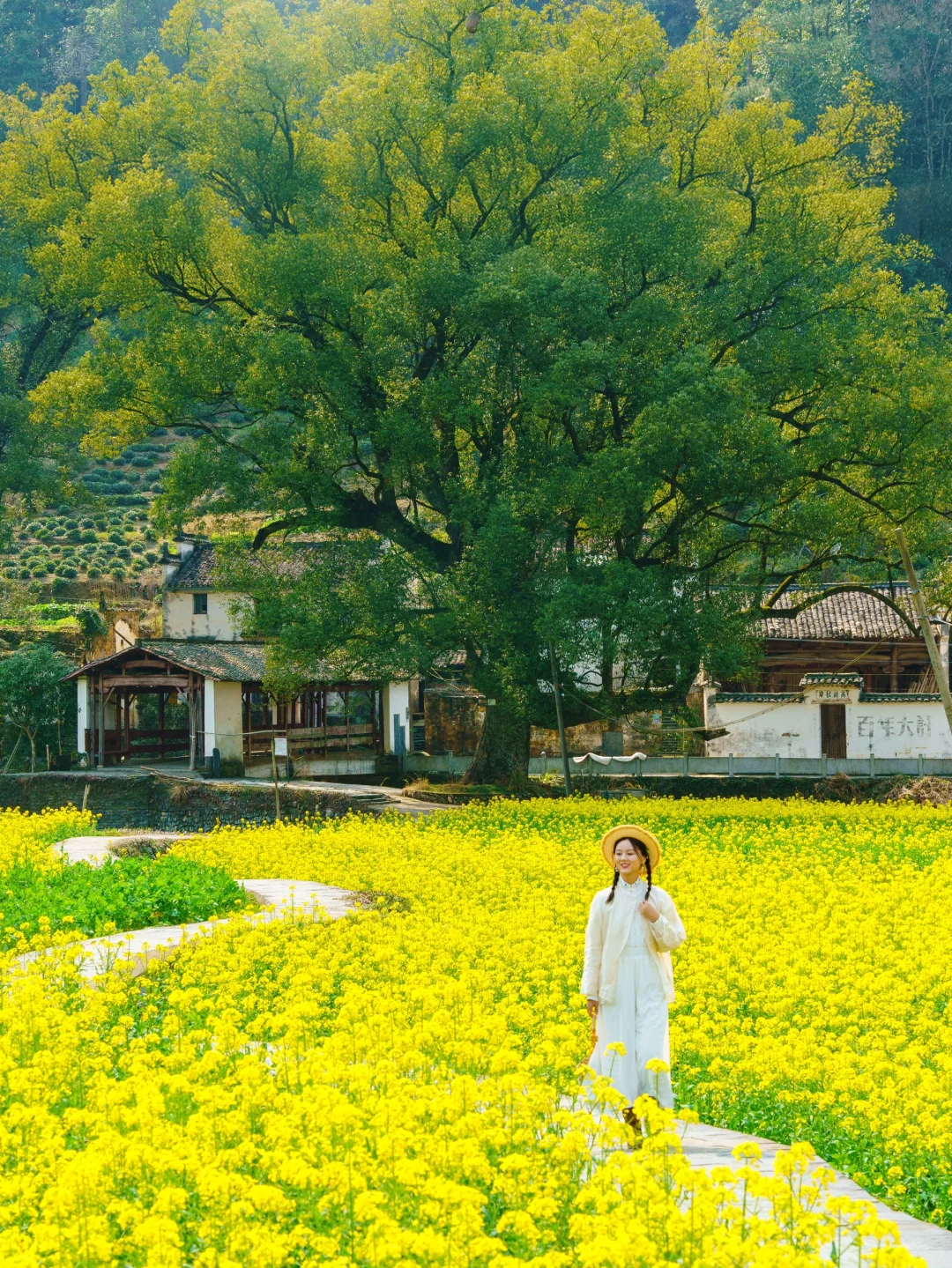 被《国家地理》评为中国最美的春天🌼有多绝👍
