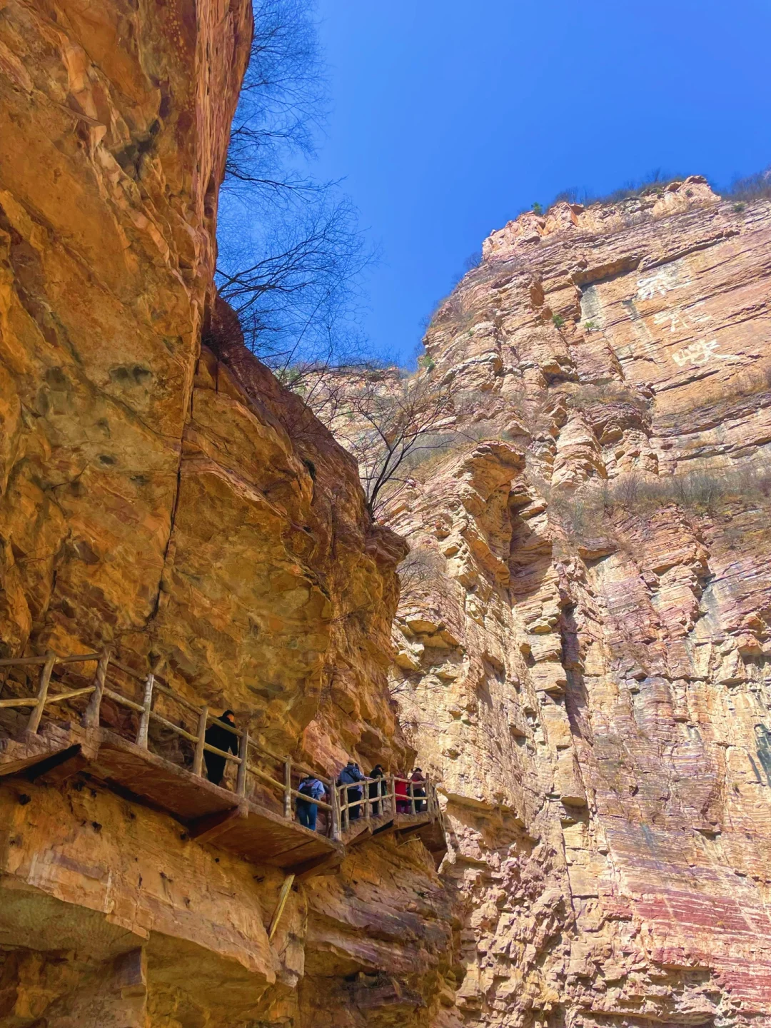 河南你糊涂‼️不输九寨沟的秘境你居然不宣传