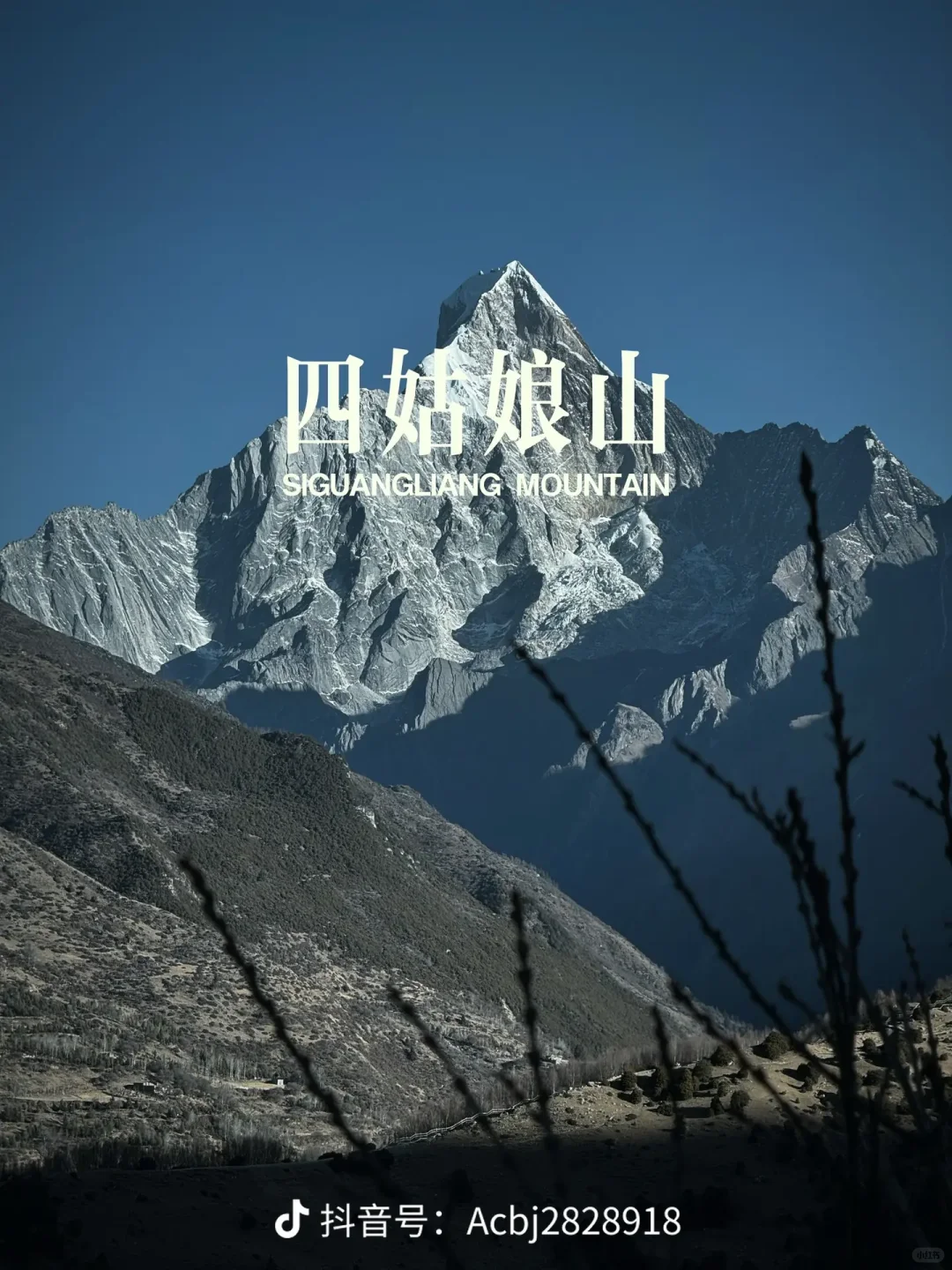 四川 ——4天3夜玩转天府国