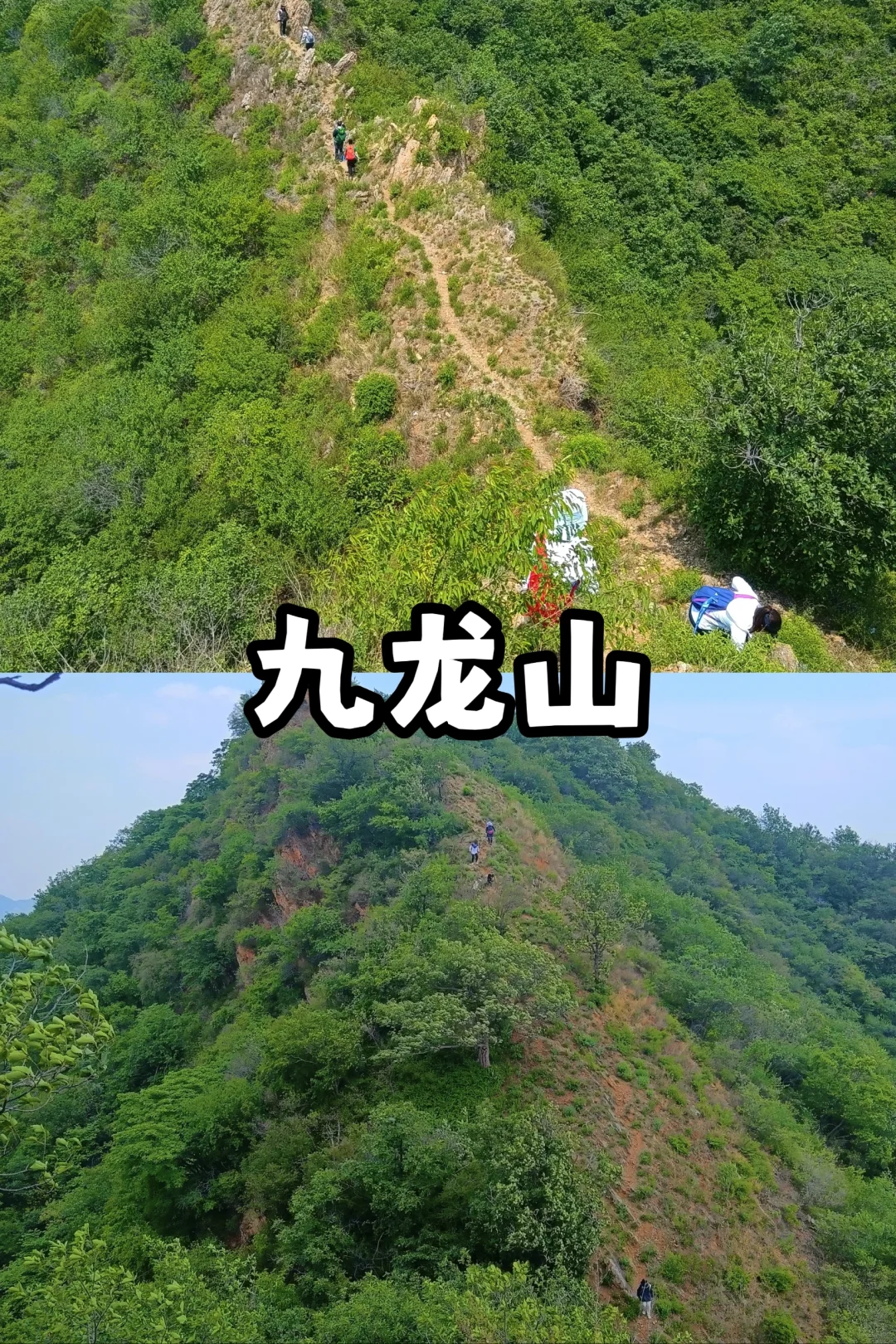 天津适合春天踏春徒步的最全路线来啦🍀