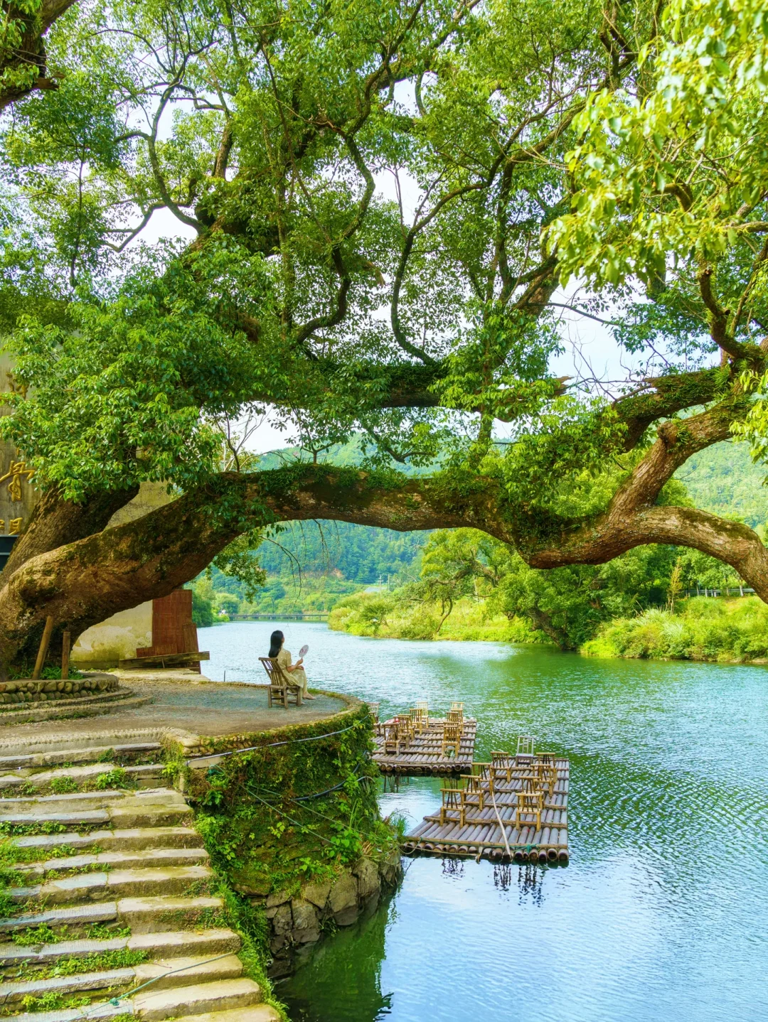 被《国家地理》评为中国最美的春天🌼有多绝👍