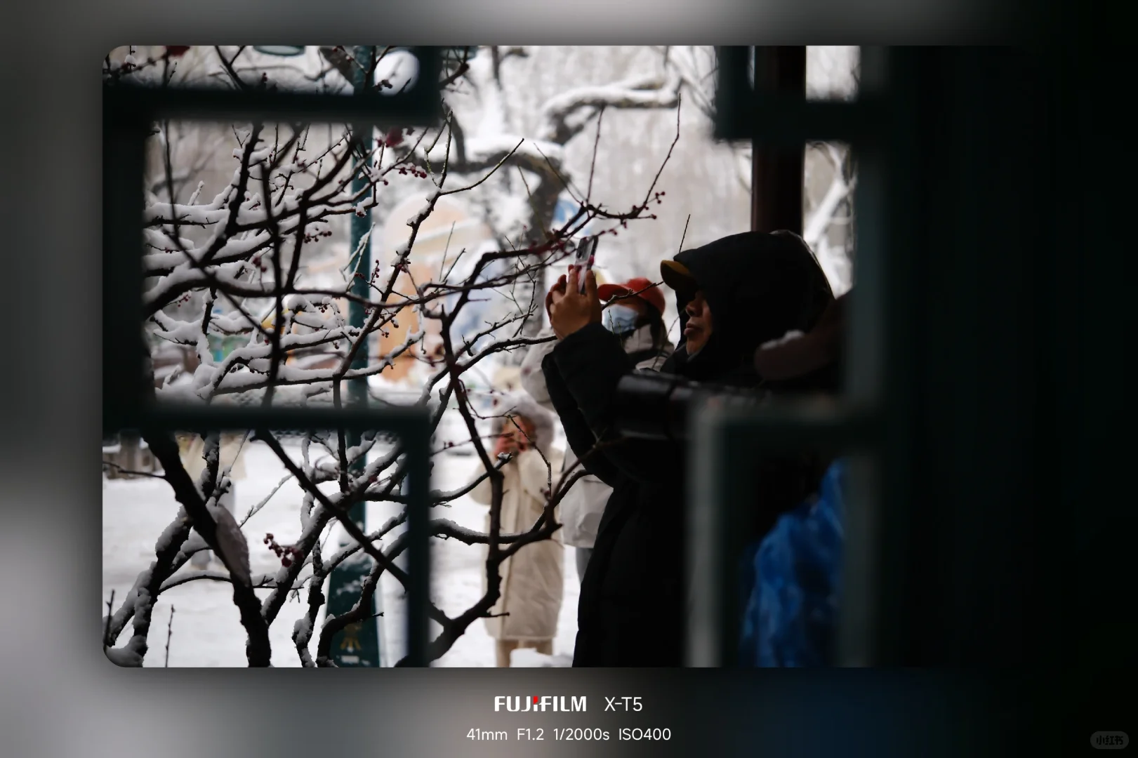 暴雪中的趵突泉公园