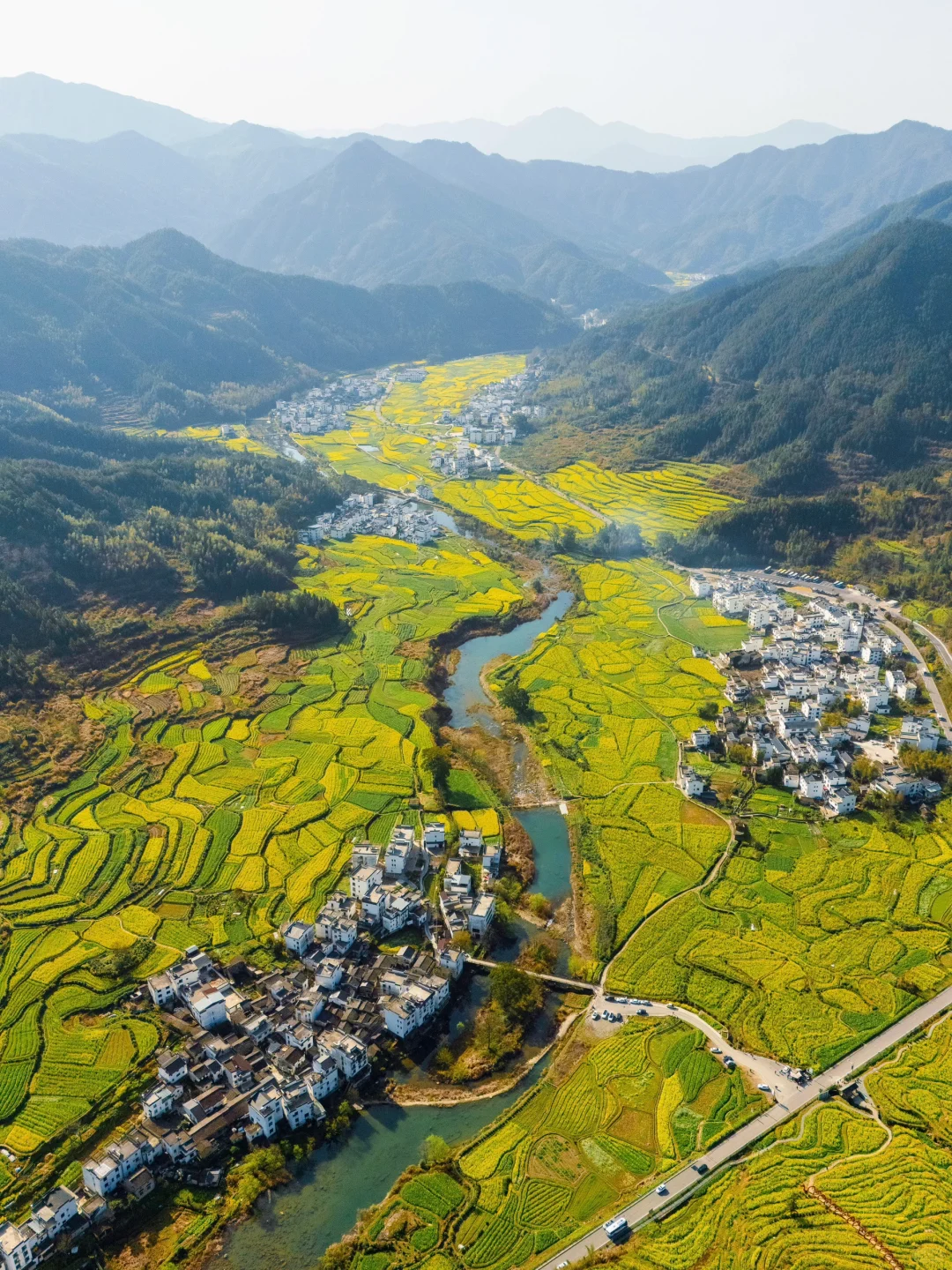 被《国家地理》评为中国最美的春天🌼有多绝👍