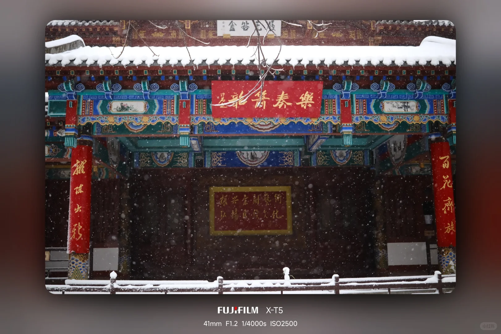 暴雪中的趵突泉公园