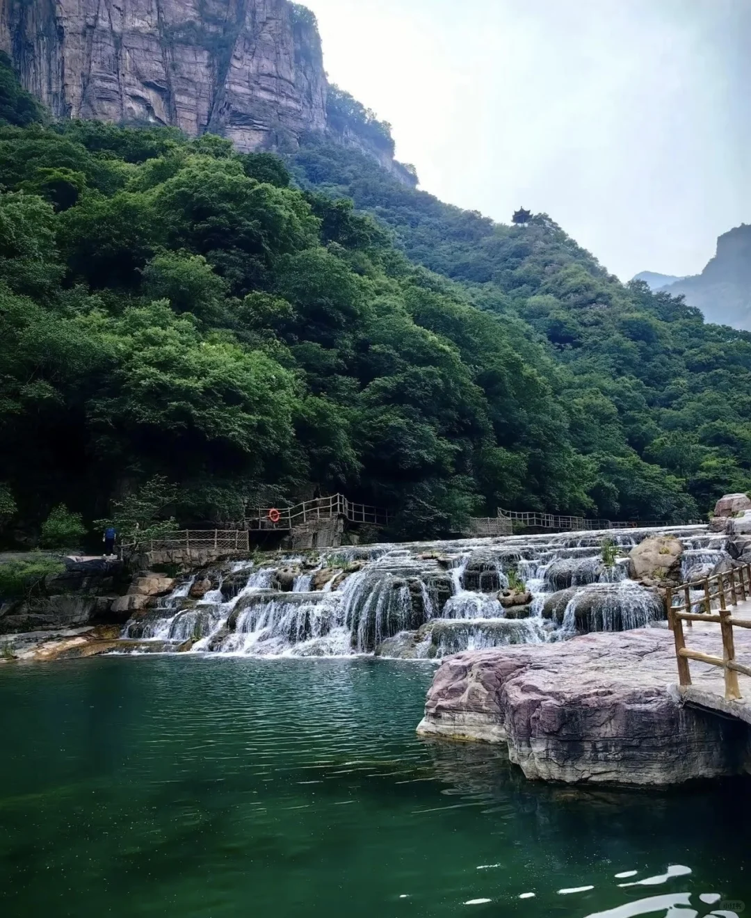 《国家地理》诚不欺我❗️