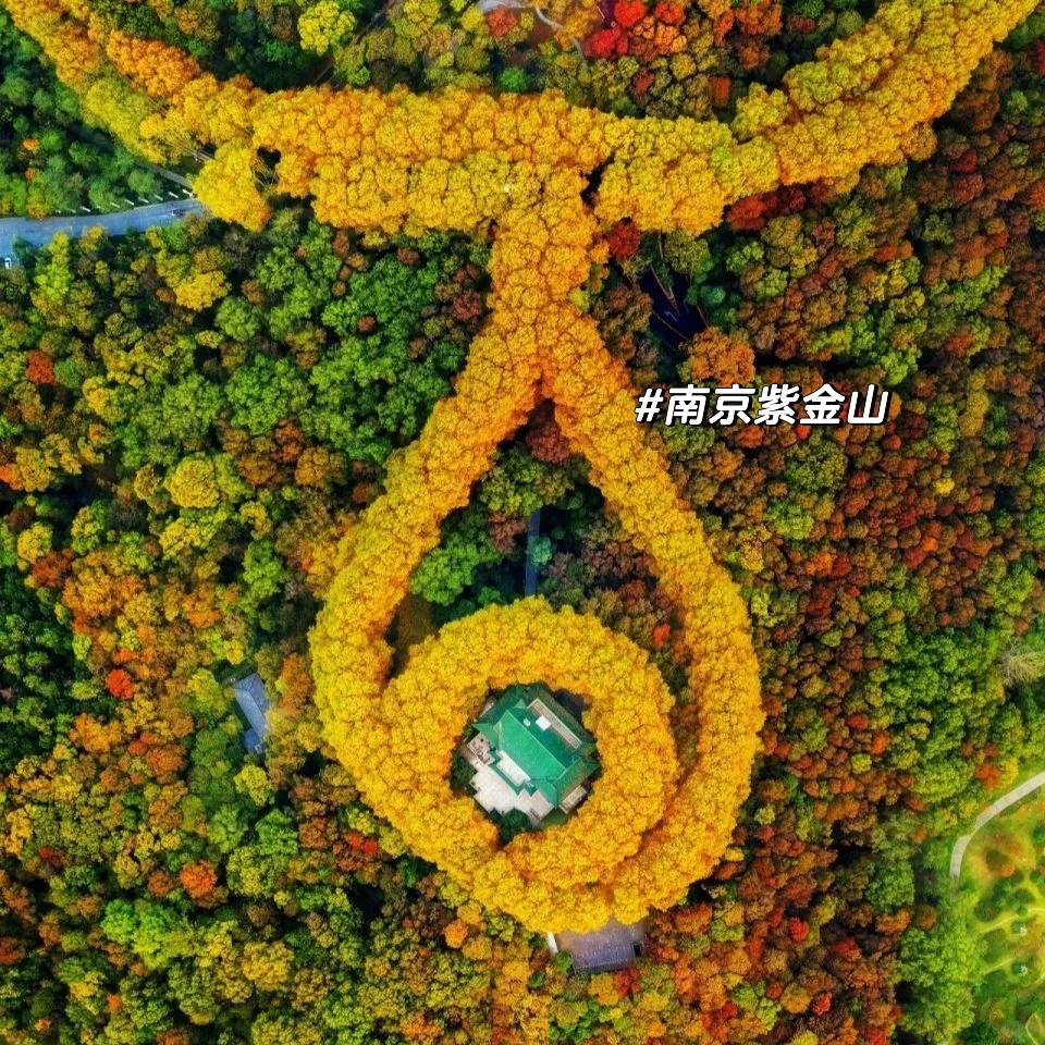 盘点国内5个带有爱心形状的景区