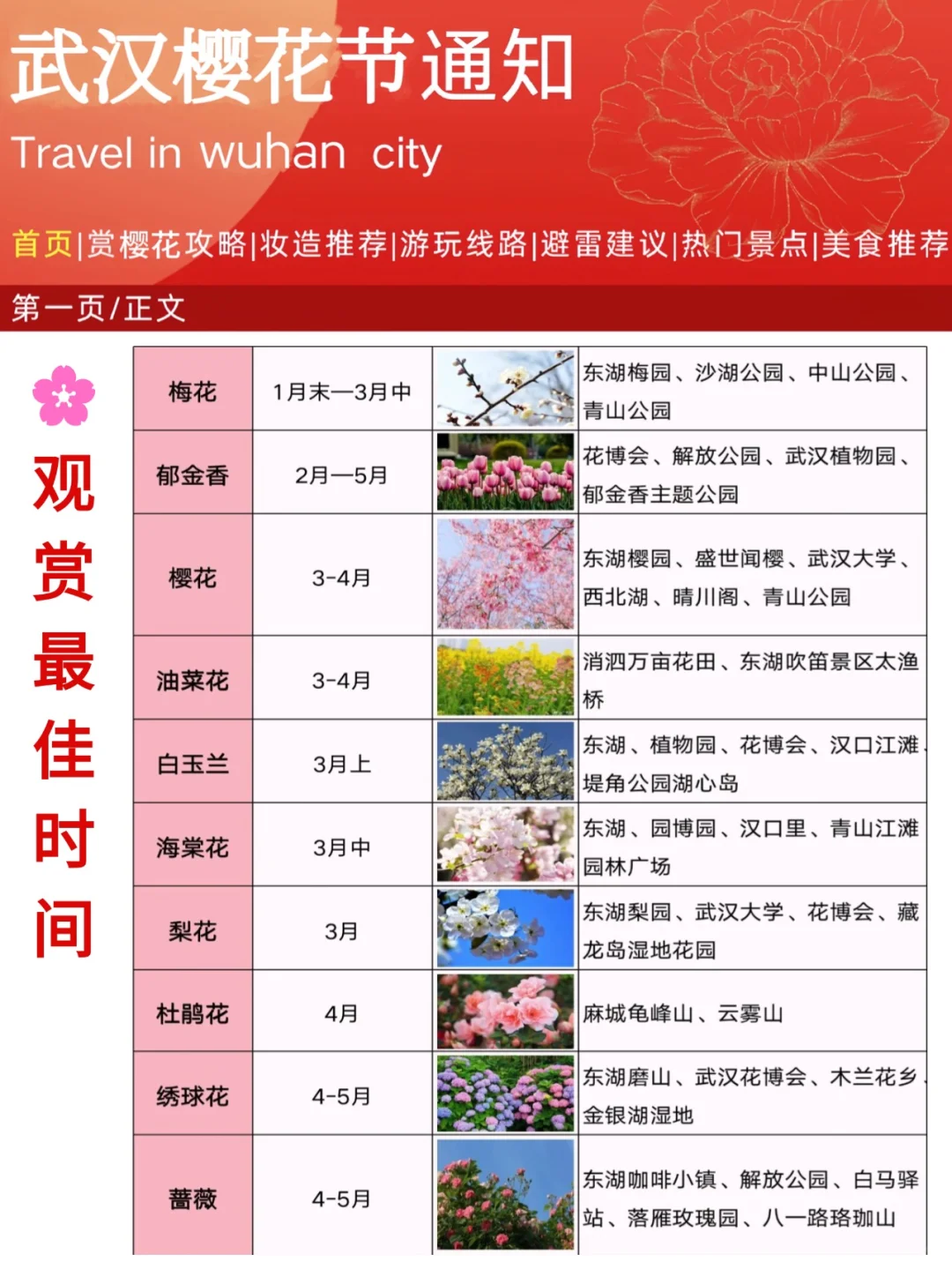 写给3月来武汉的姐妹👫附最新赏樱全攻略