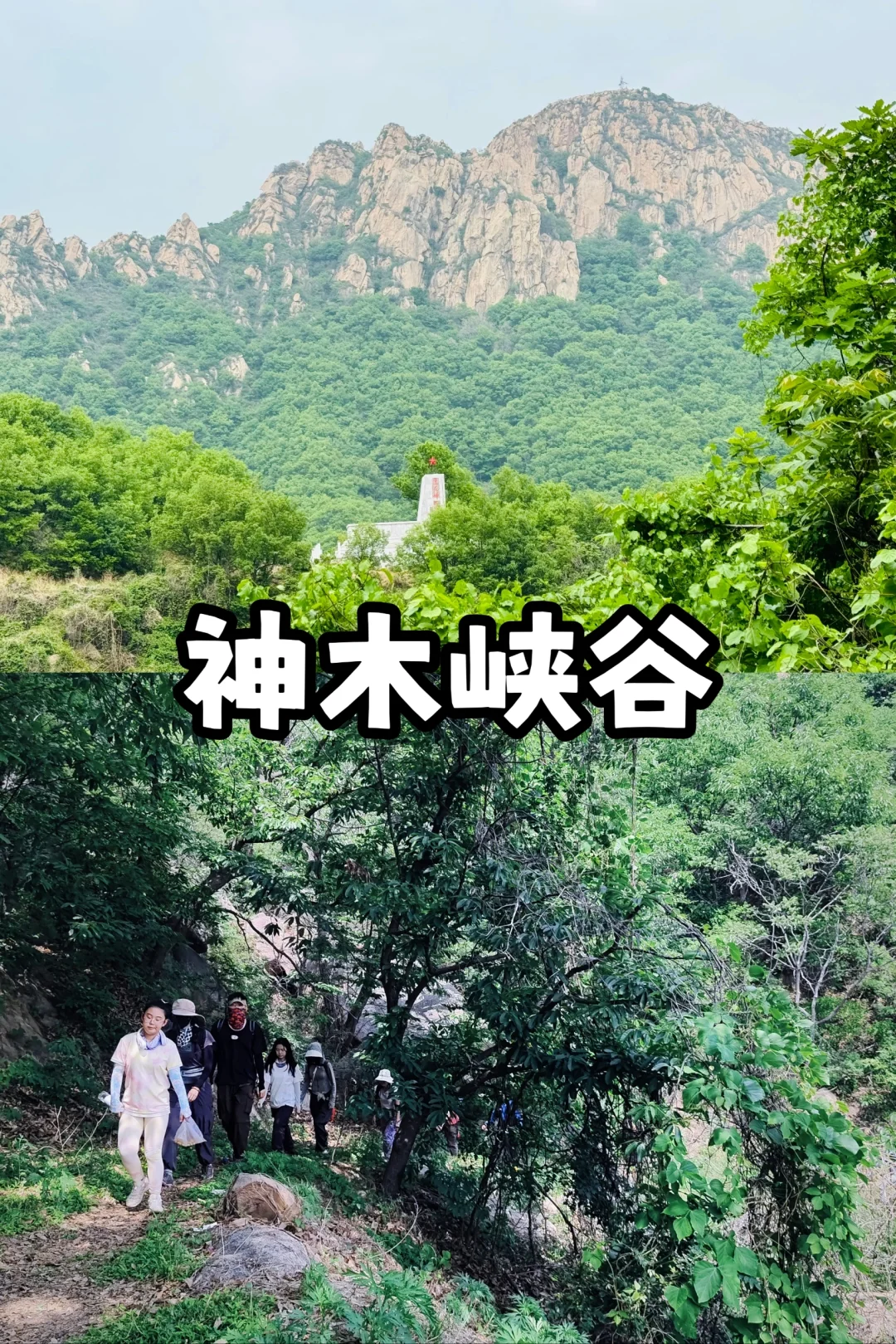 天津适合春天踏春徒步的最全路线来啦🍀