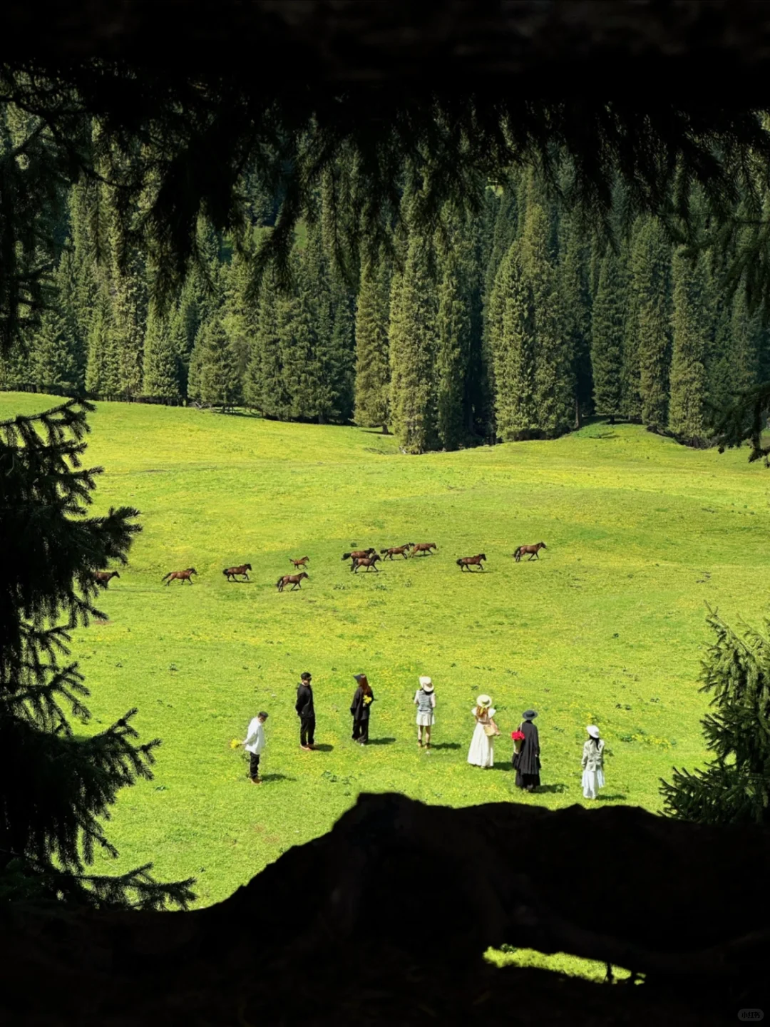 迄今为止，我去过国内最美的8个的草原