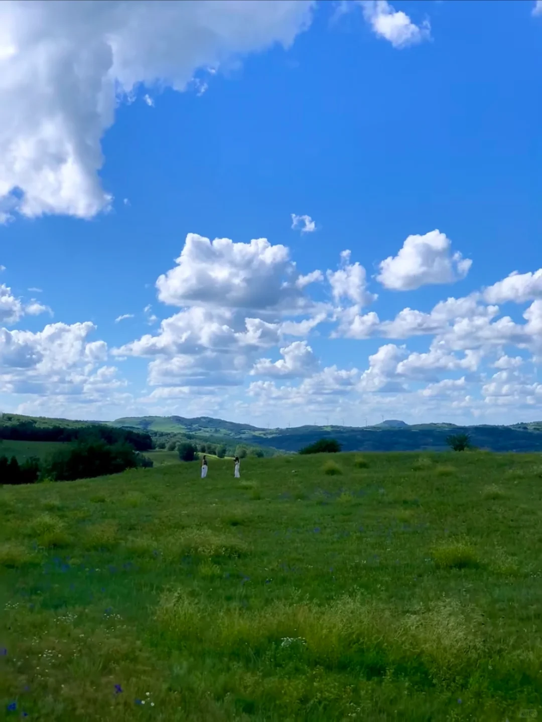 迄今为止，我去过国内最美的8个的草原