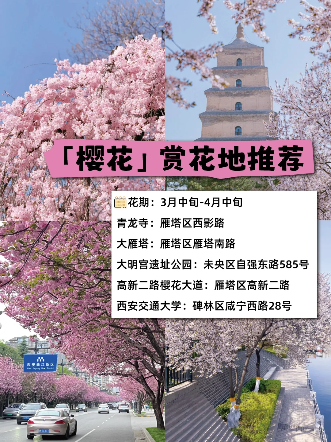 🌸西安春日限定｜这些绝美赏花地，拍照打