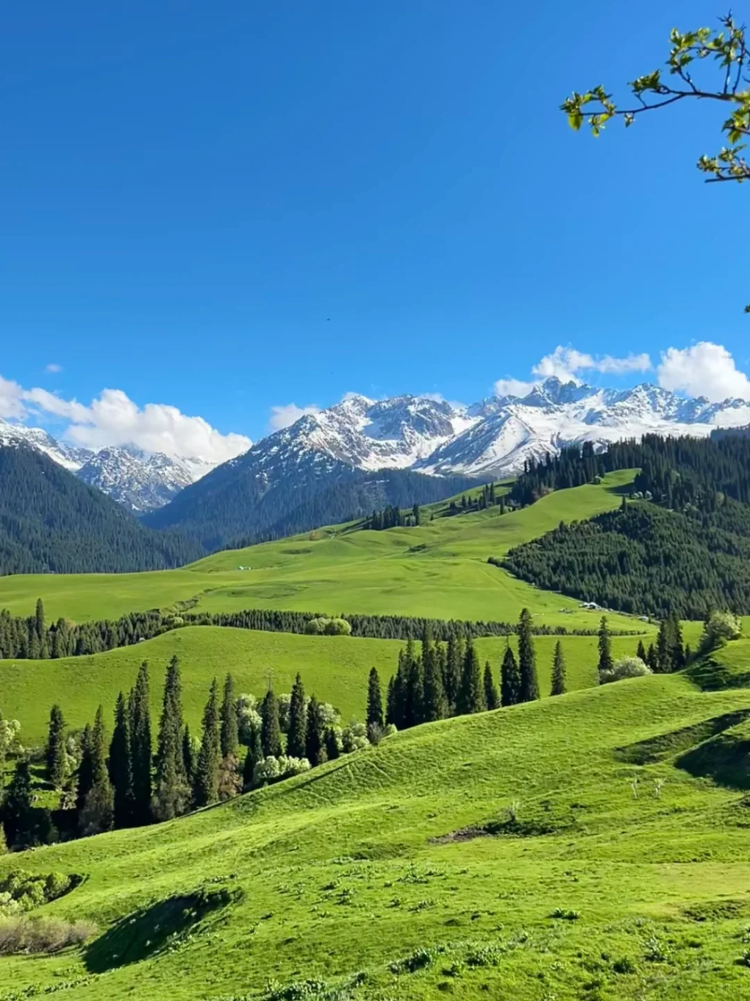 迄今为止，我去过国内最美的8个的草原