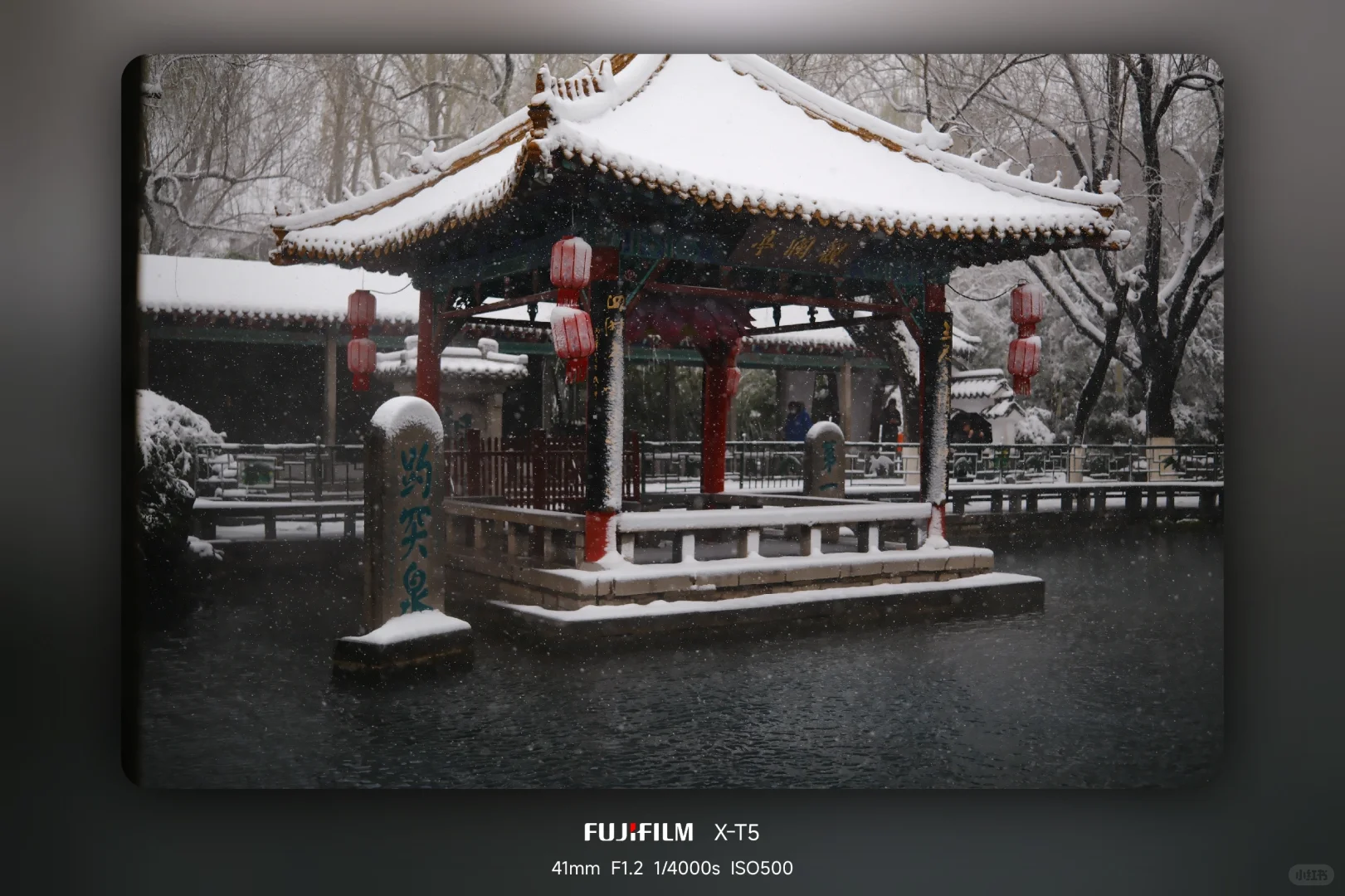 暴雪中的趵突泉公园