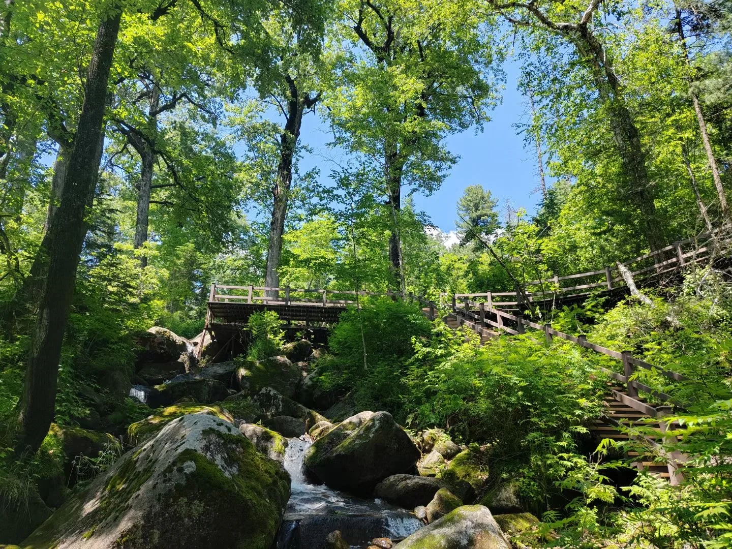 🌲哈尔滨周边小众避世秘境天花板