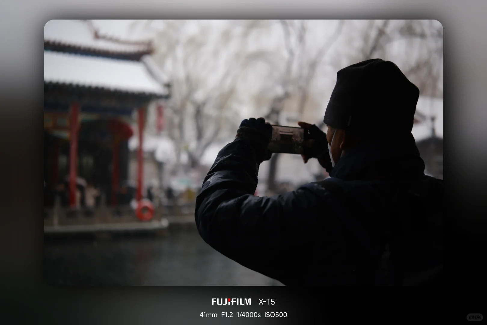 暴雪中的趵突泉公园