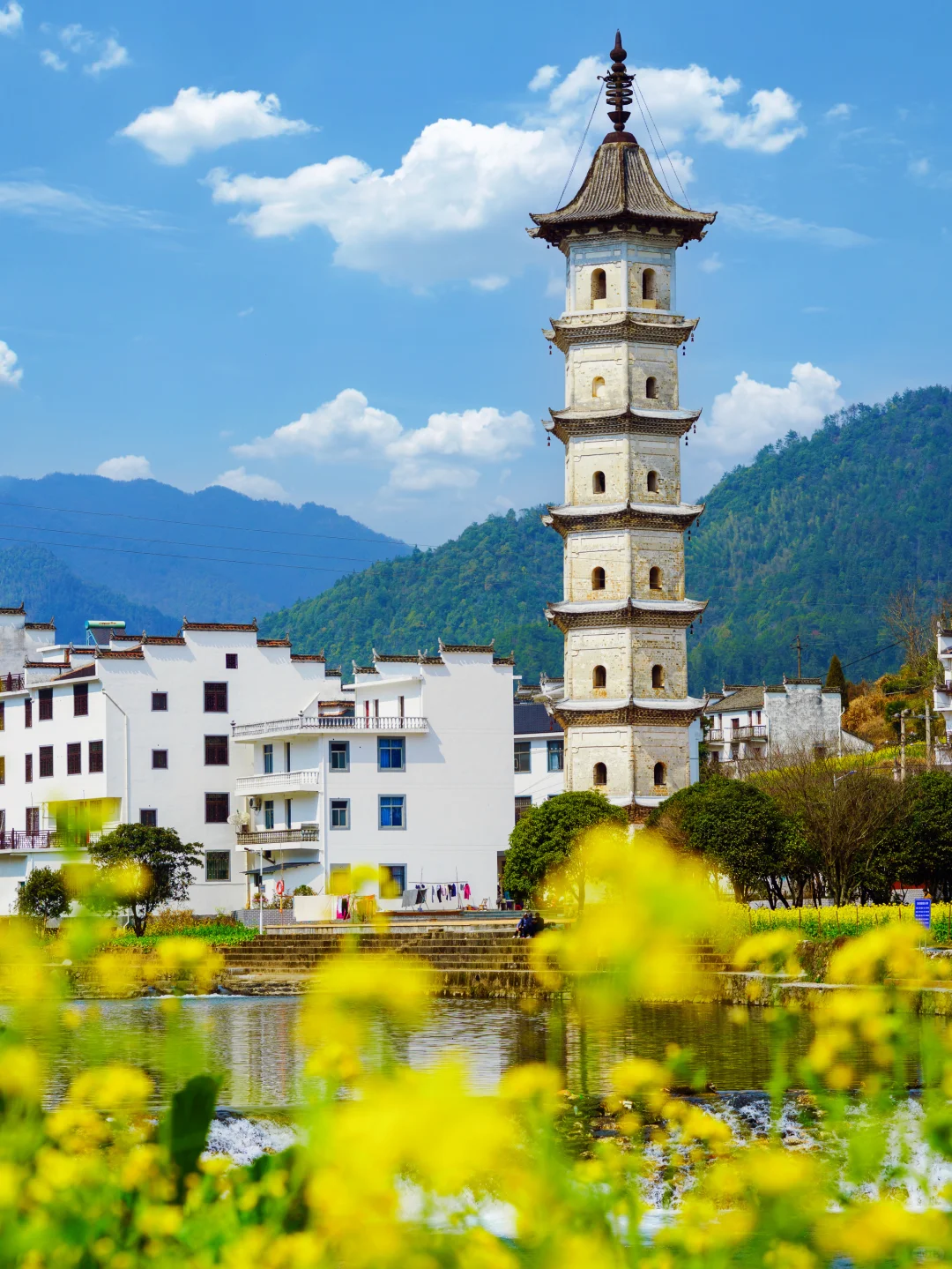 被《国家地理》评为中国最美的春天🌼有多绝👍