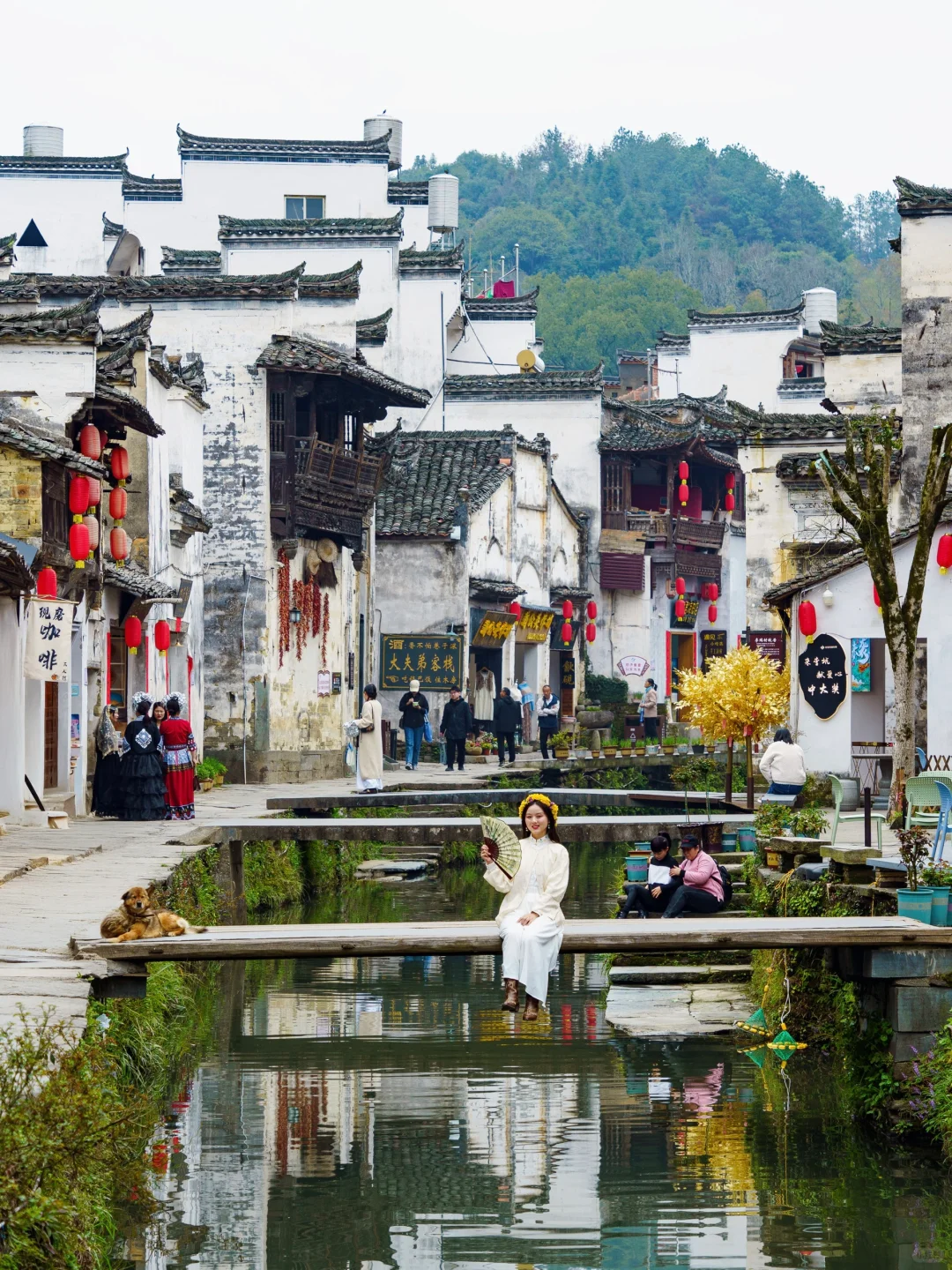 被《国家地理》评为中国最美的春天🌼有多绝👍