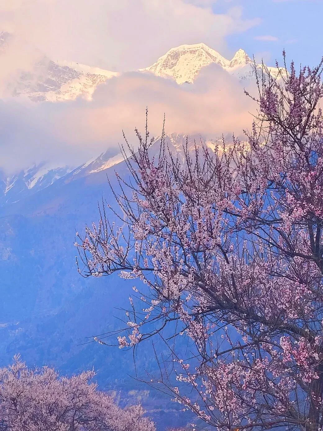 总要去趟西藏吧！这几个景点千万别错过✨
