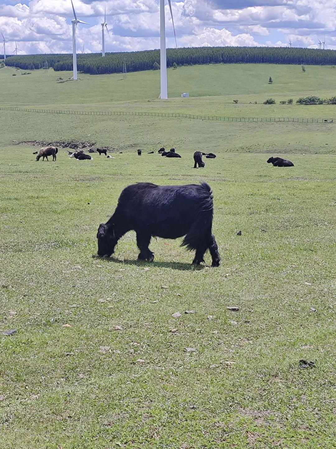 乌兰布统3天2夜丨草原、湖泊、峡谷一键打卡