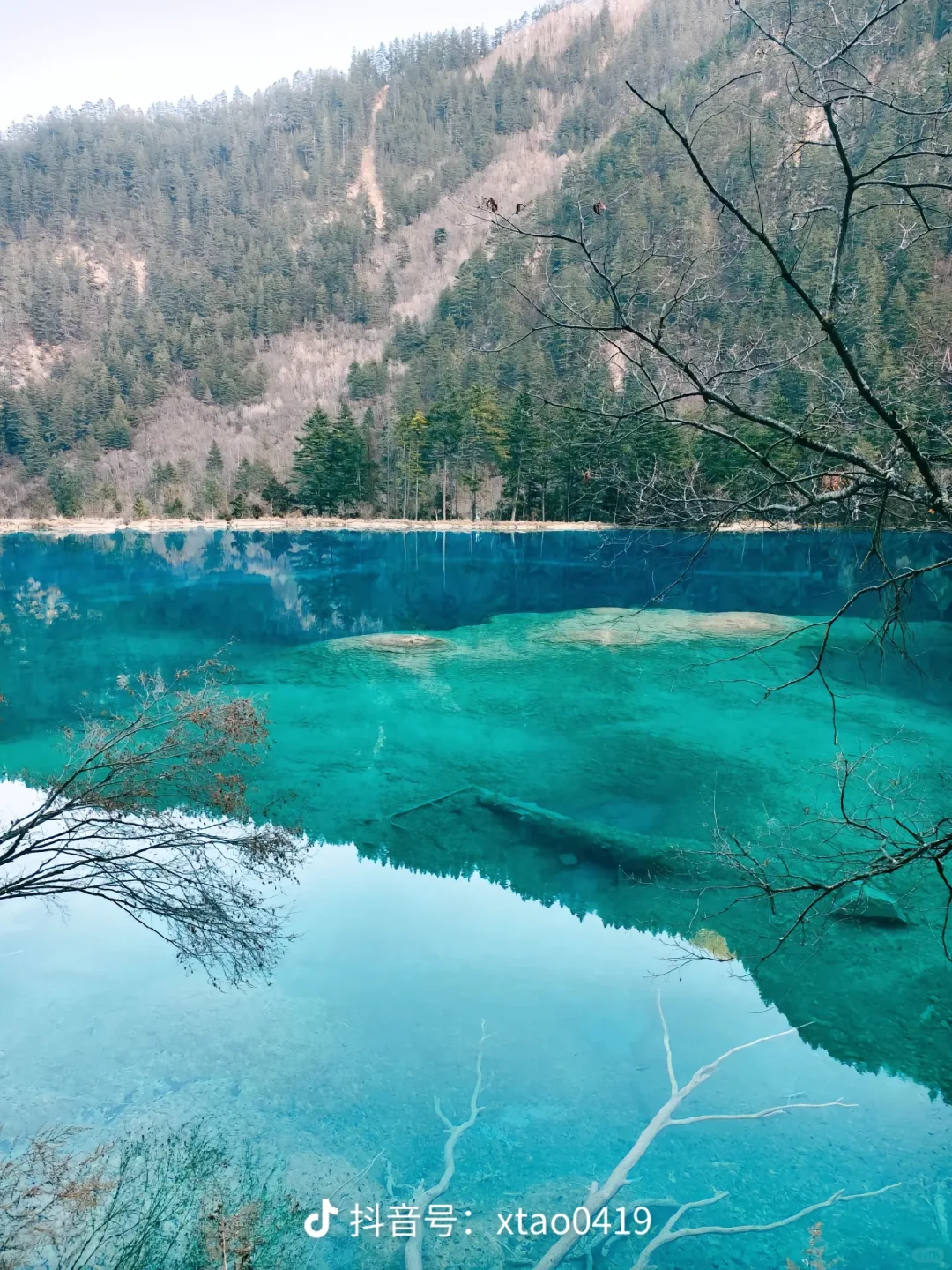 四川 ——4天3夜玩转天府国