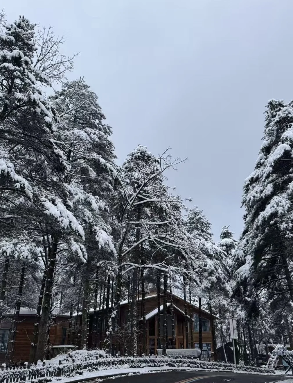 教科书级雪峡秘境被我挖到了🌨️✨