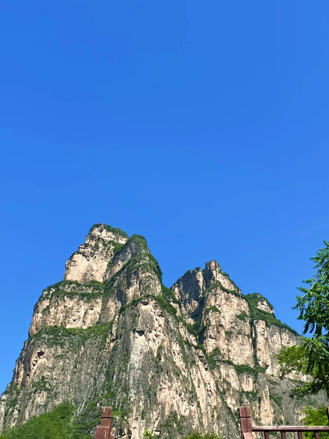 河南你糊涂‼️不输九寨沟的秘境你居然不宣传