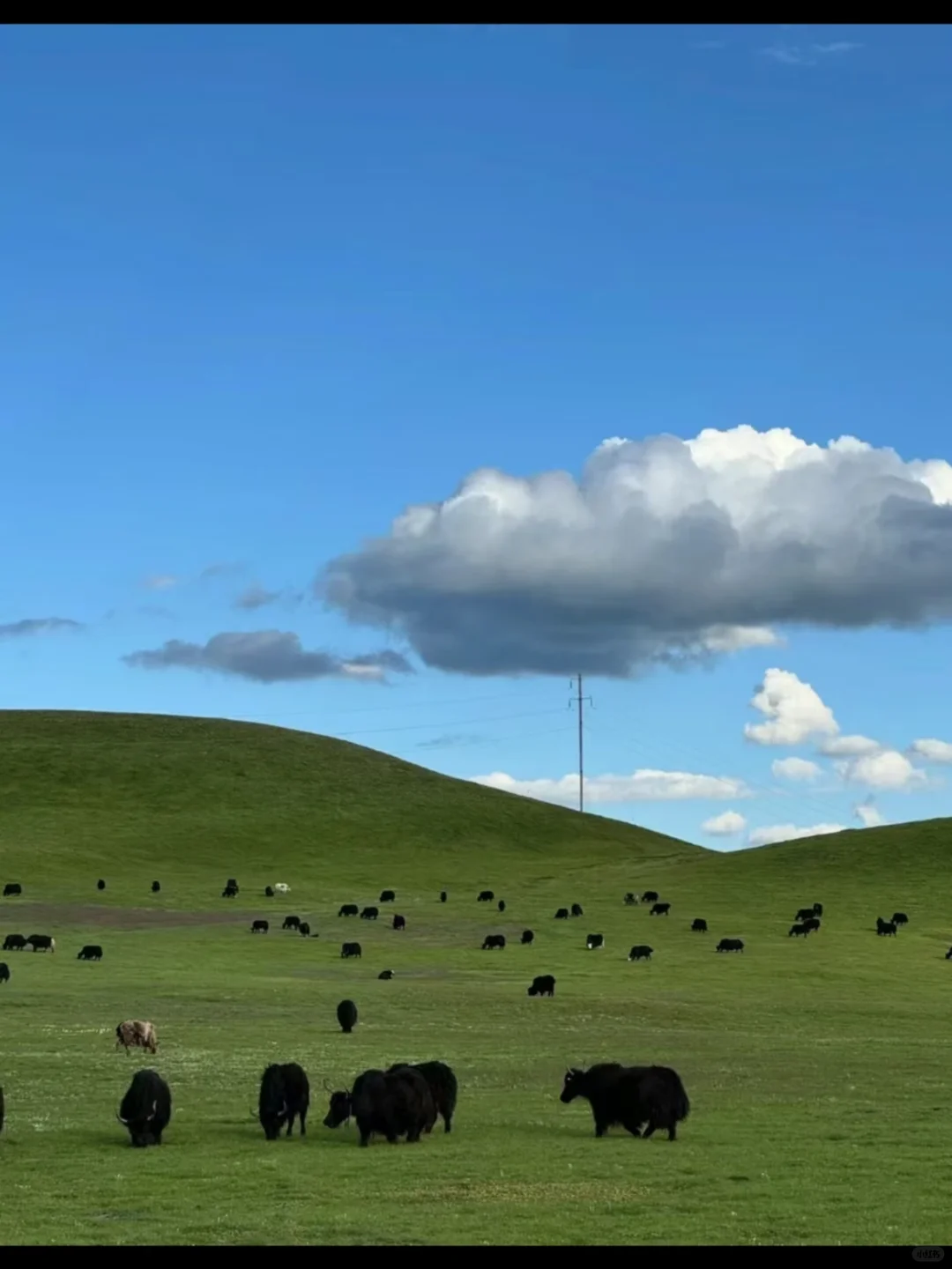 迄今为止，我去过国内最美的8个的草原
