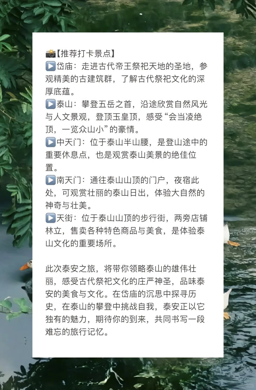 总要来爬一趟泰山呀