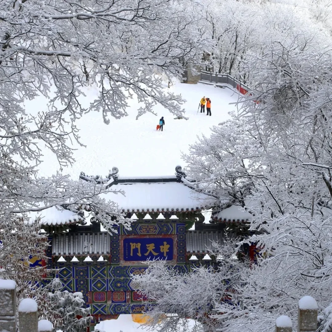 听劝👂 3月份来老君山的姐们请🐎住！！