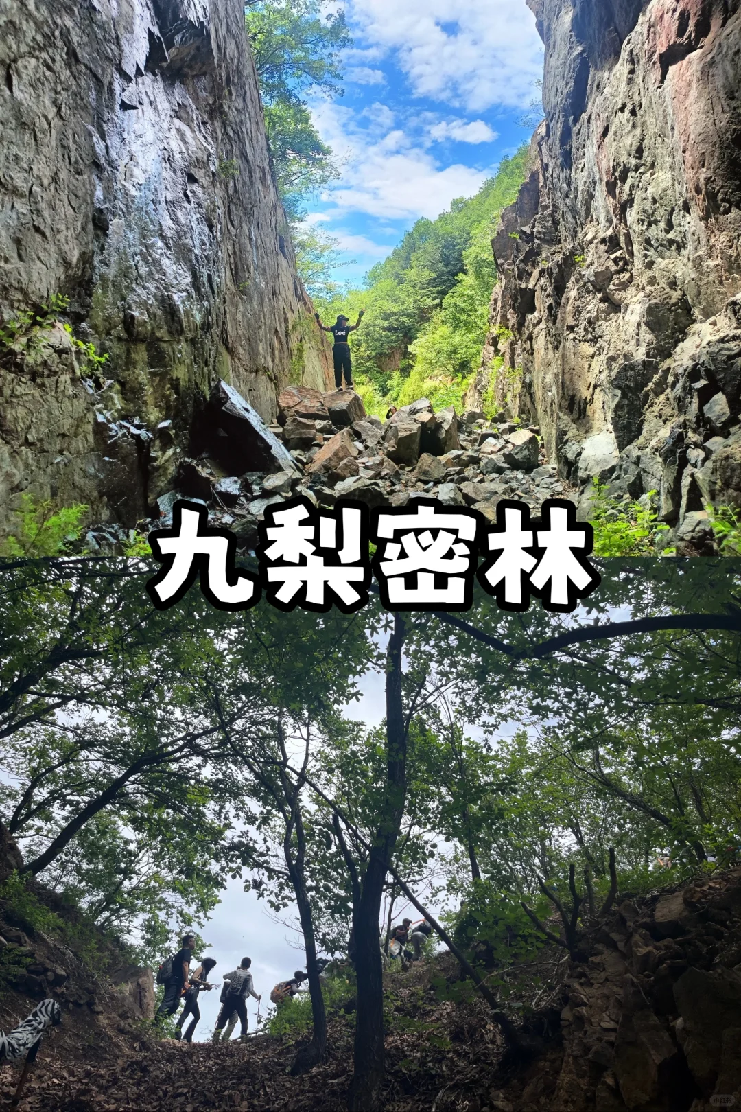 天津适合春天踏春徒步的最全路线来啦🍀