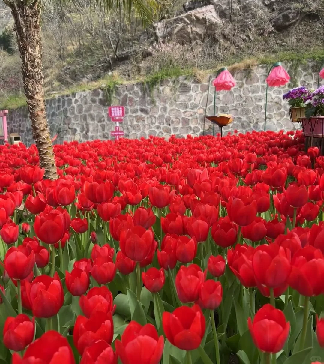 《国家地理》诚不欺我❗️