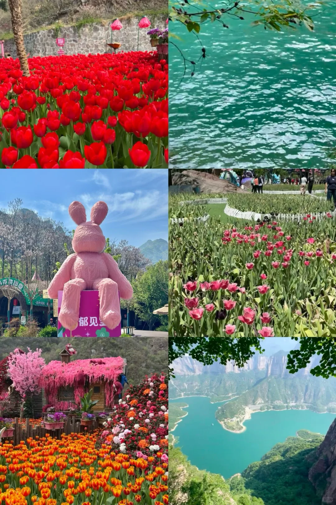 《国家地理》诚不欺我❗️