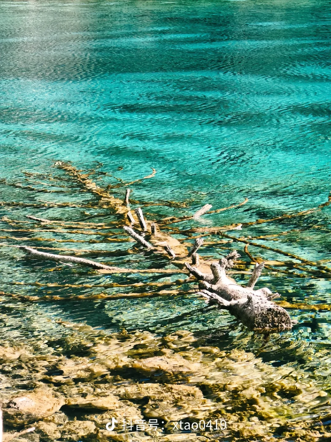 四川 ——4天3夜玩转天府国