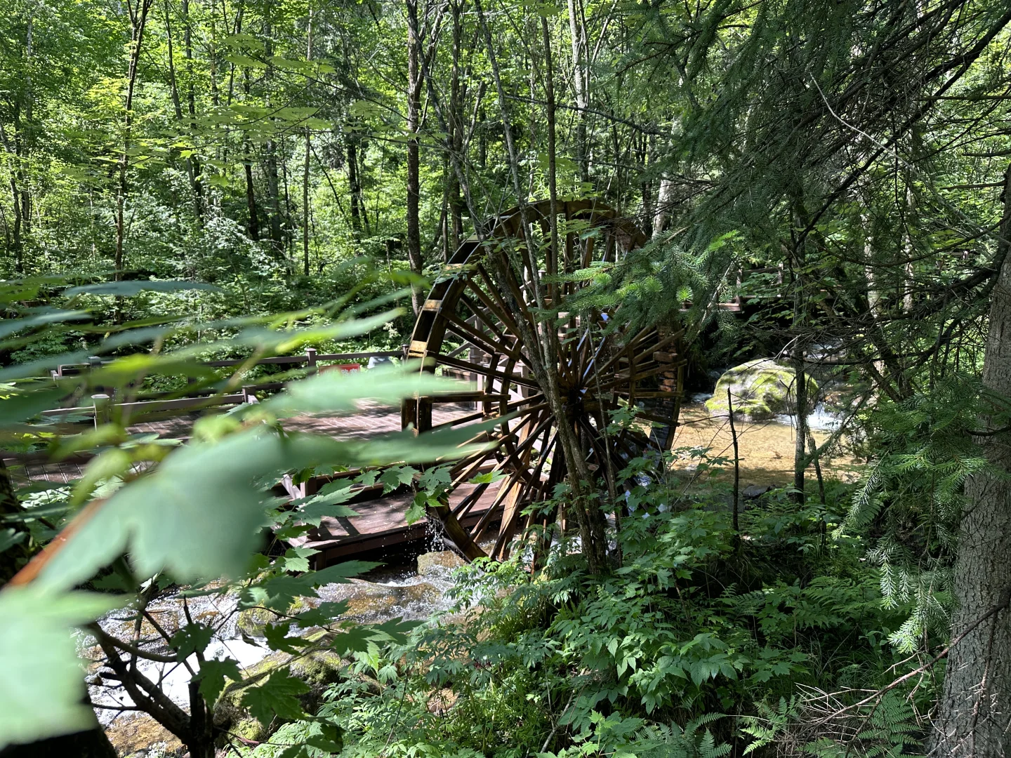 🌲哈尔滨周边小众避世秘境天花板