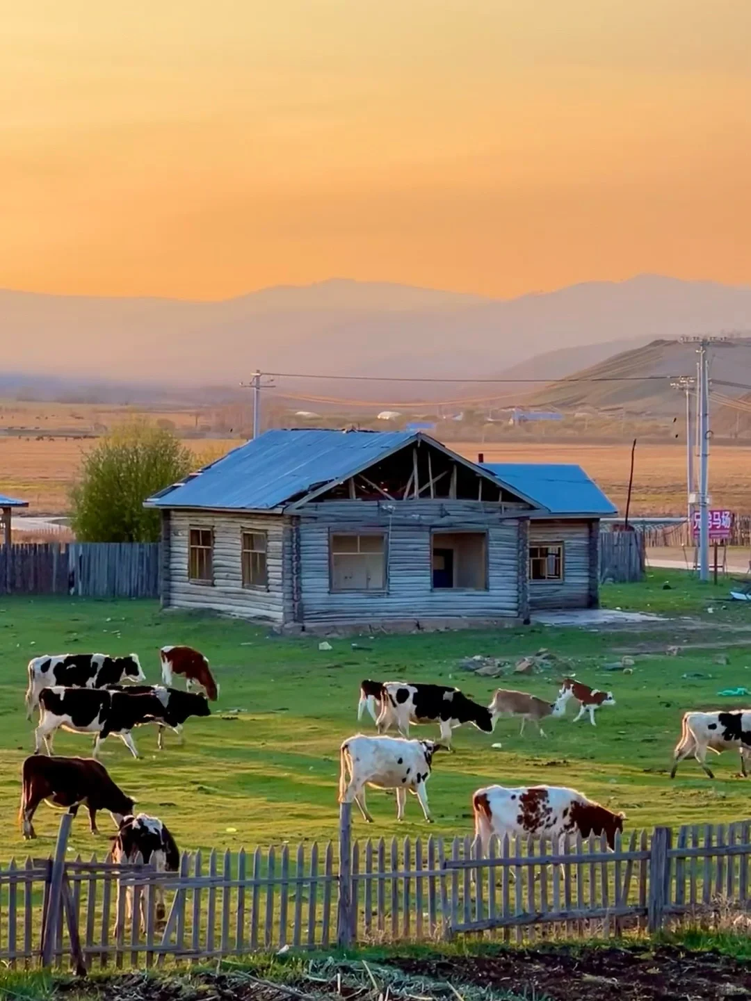 为什么强烈推荐5月底来内蒙古大草原❓