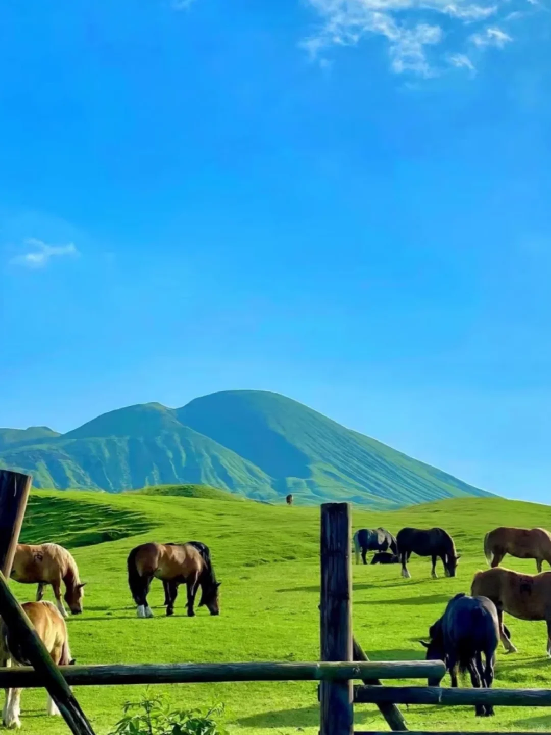 迄今为止，我去过国内最美的8个的草原