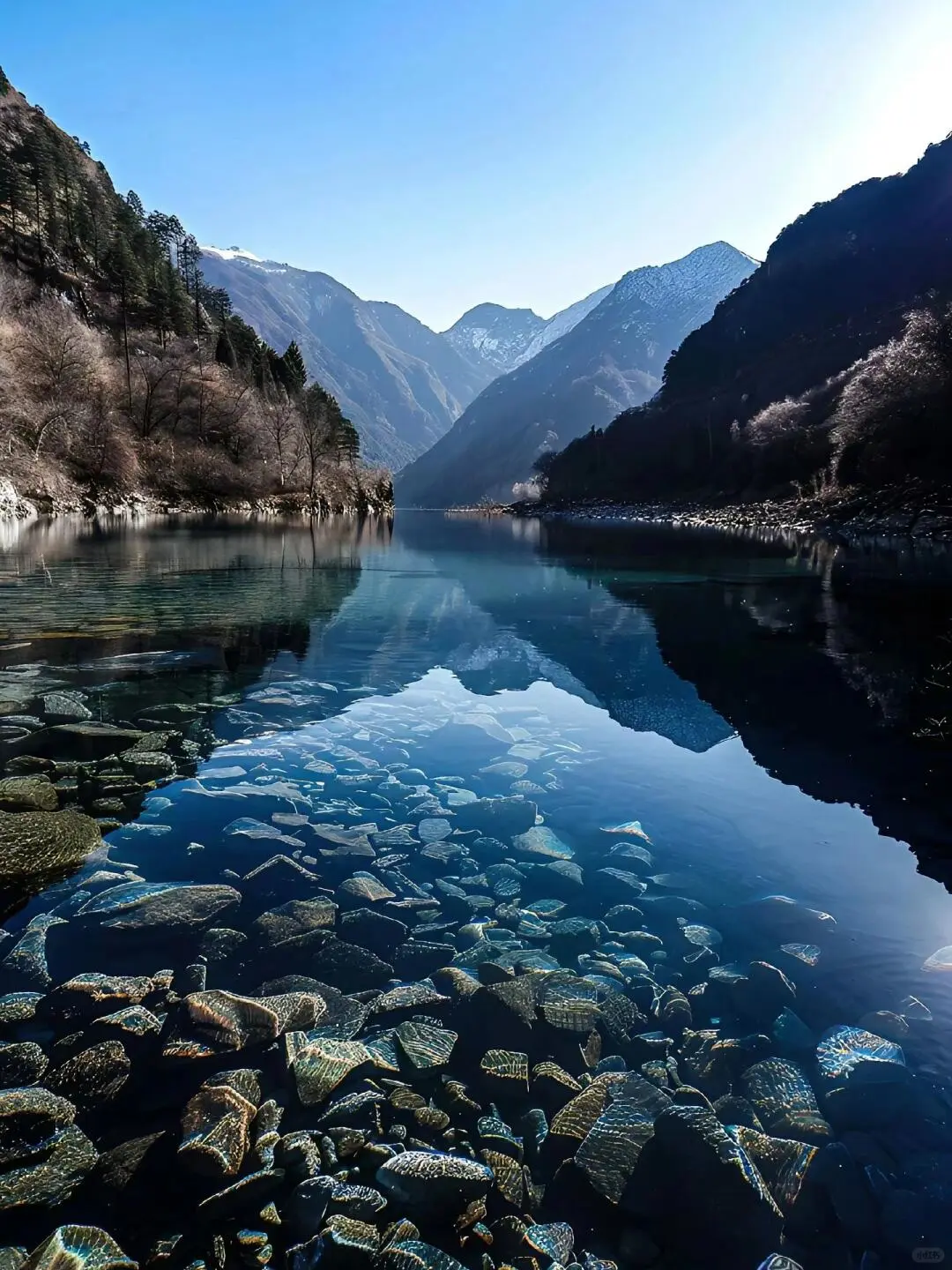 九寨沟|误入现实版童话仙境🏞️