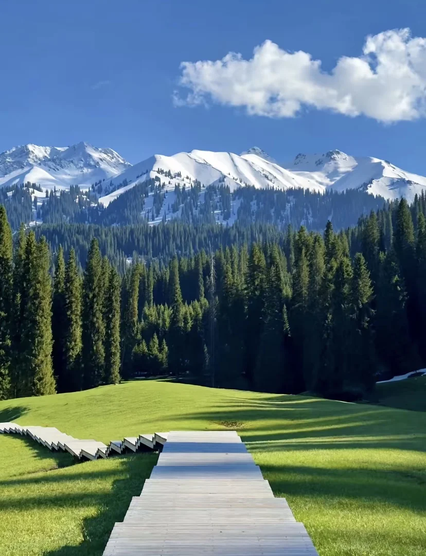 库尔德宁一日游 拼团 包车🚗🚗🚗