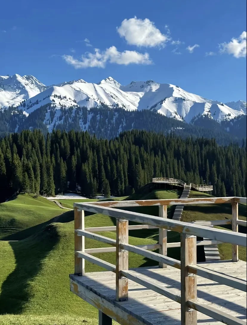 库尔德宁一日游 拼团 包车🚗🚗🚗