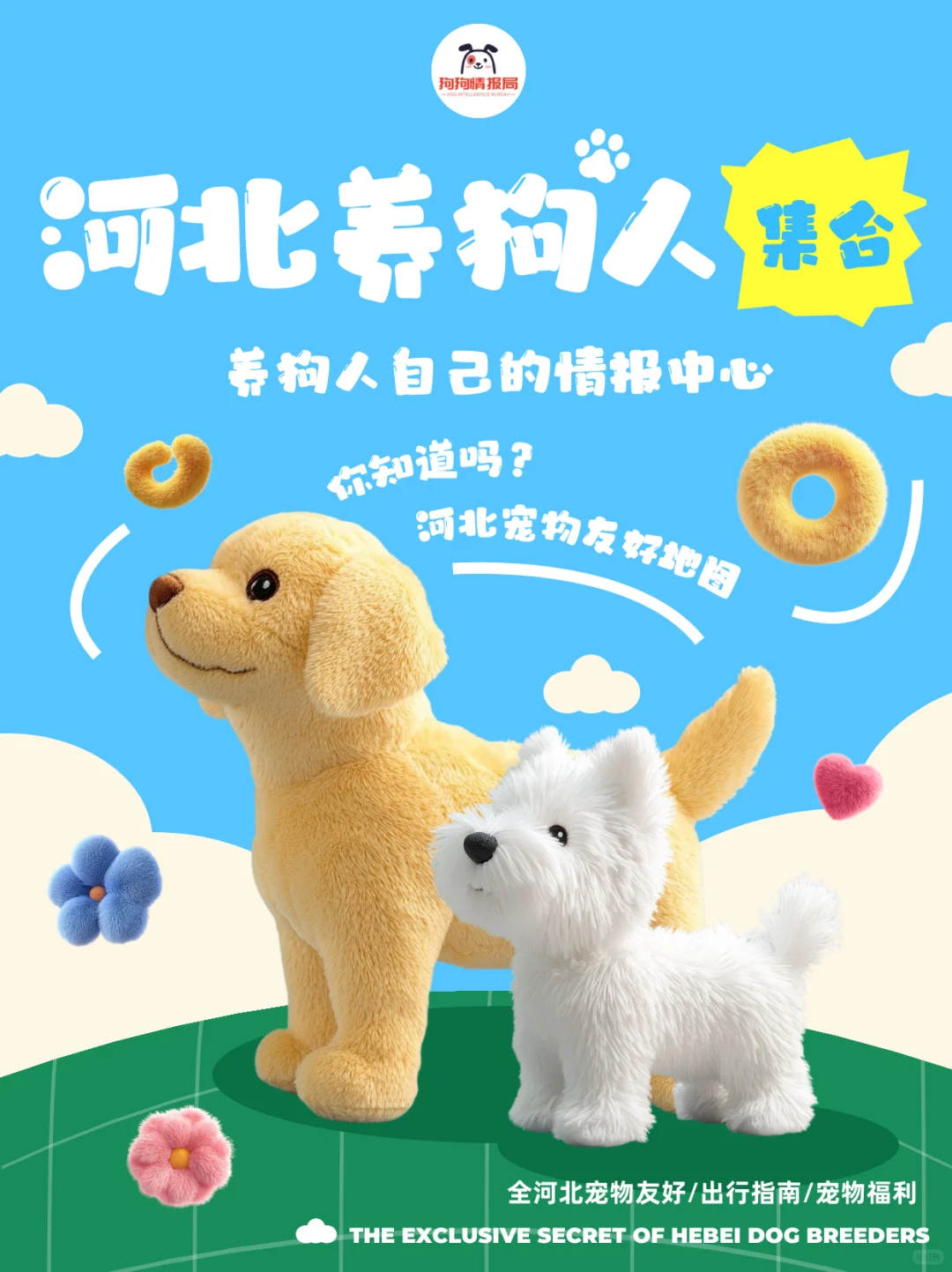 救命！河北养狗人终于不用当大冤种了！