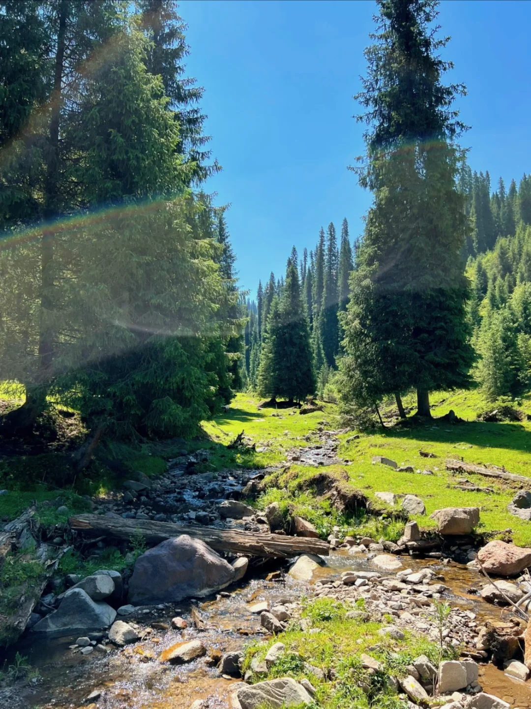 迄今为止，我去过国内最美的8个的草原