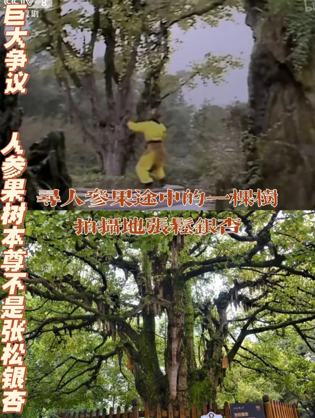 西游记居然在都江堰景区❗️拍了这么多取景地