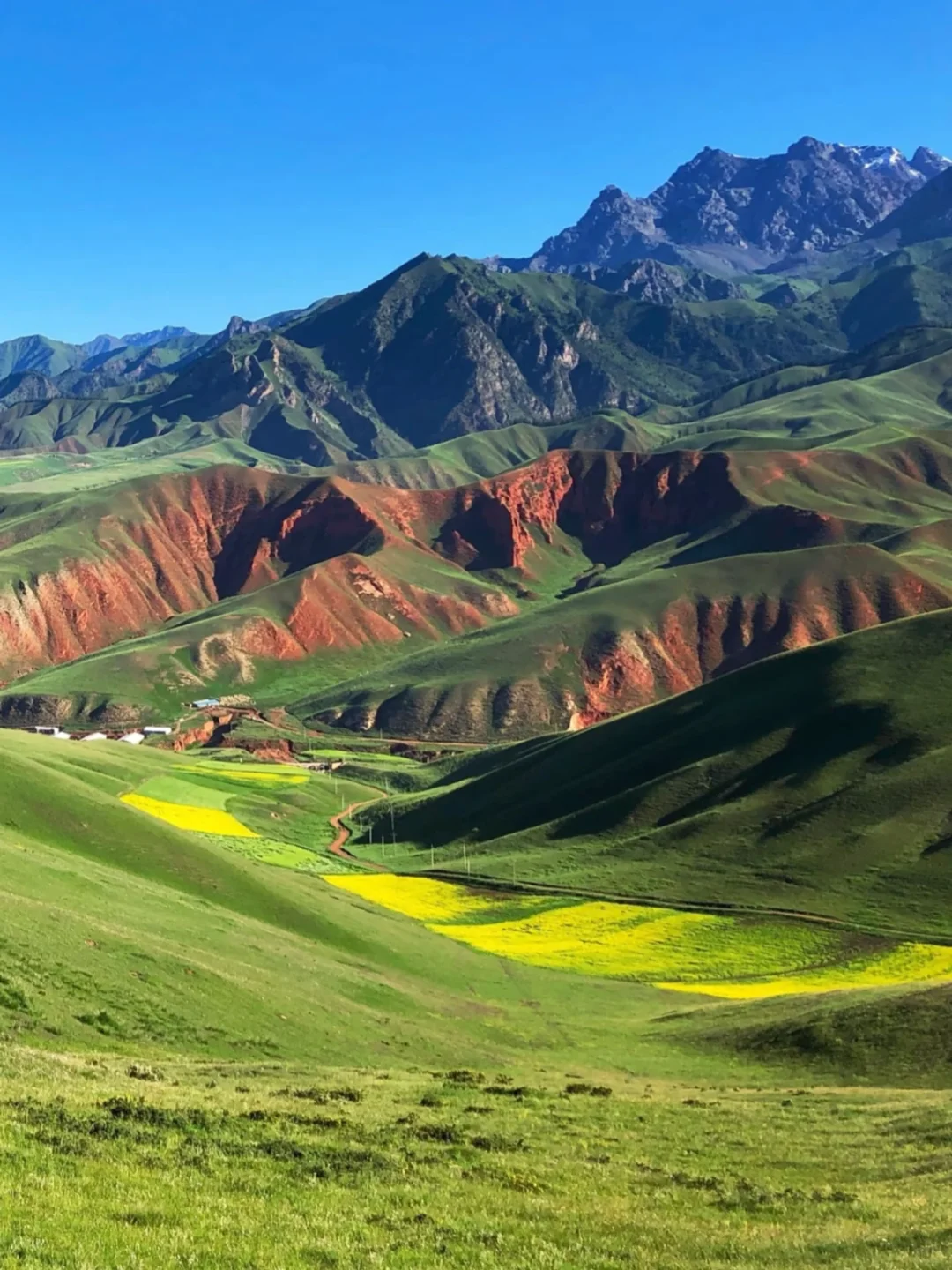 迄今为止，我去过国内最美的8个的草原