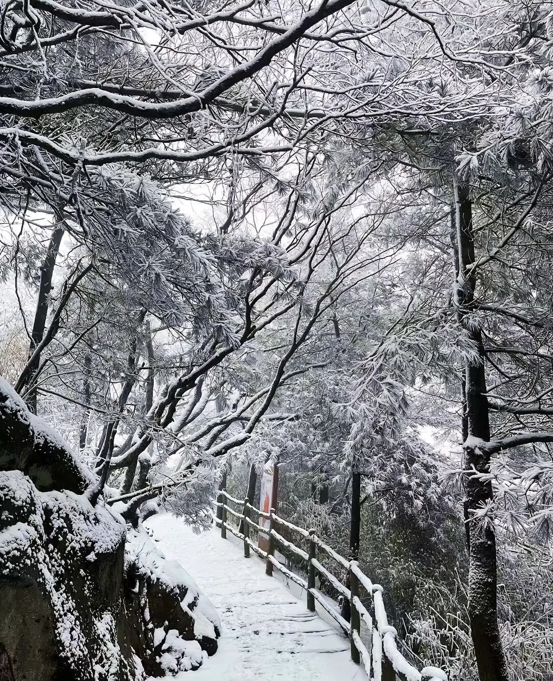 教科书级雪峡秘境被我挖到了🌨️✨