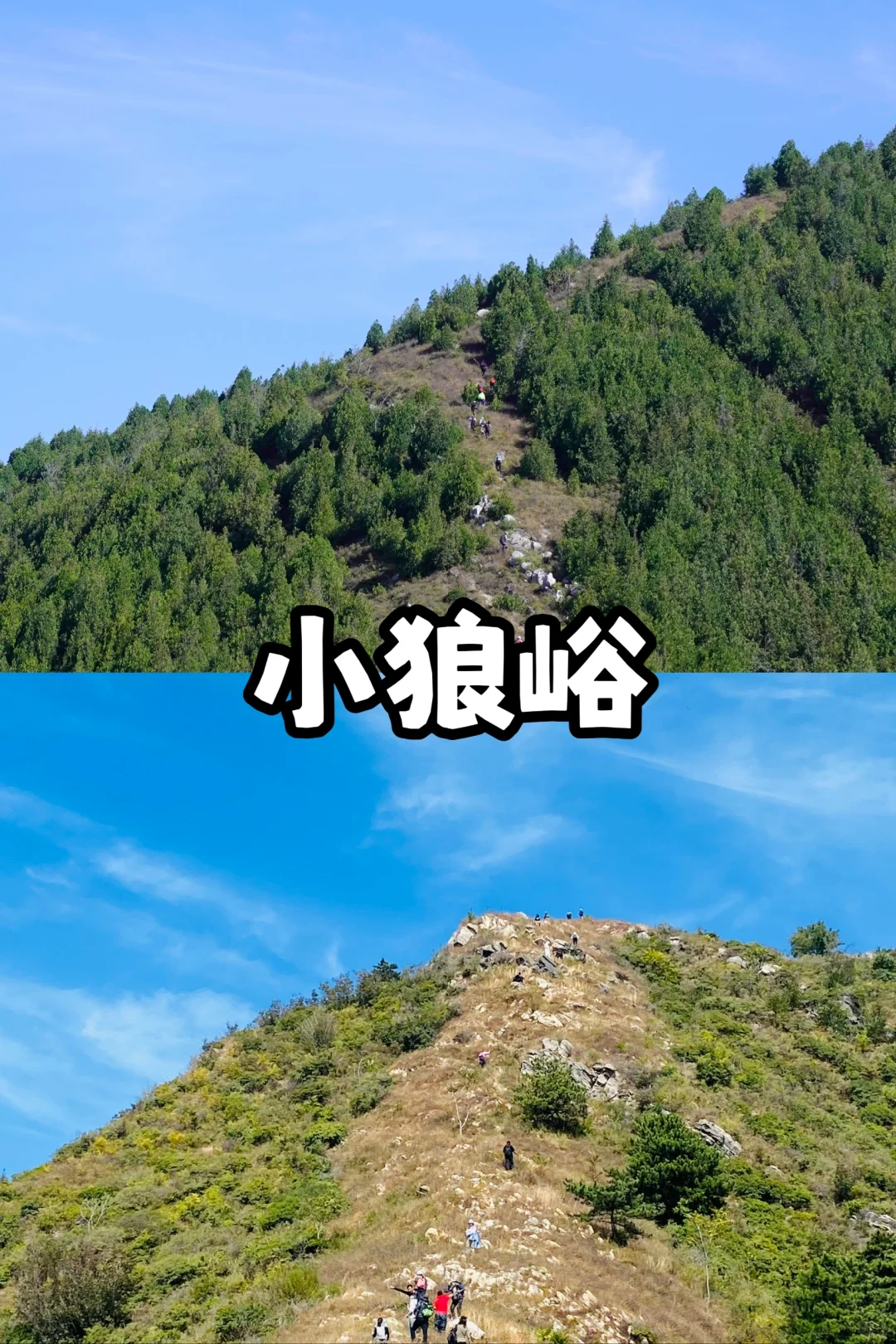 天津适合春天踏春徒步的最全路线来啦🍀