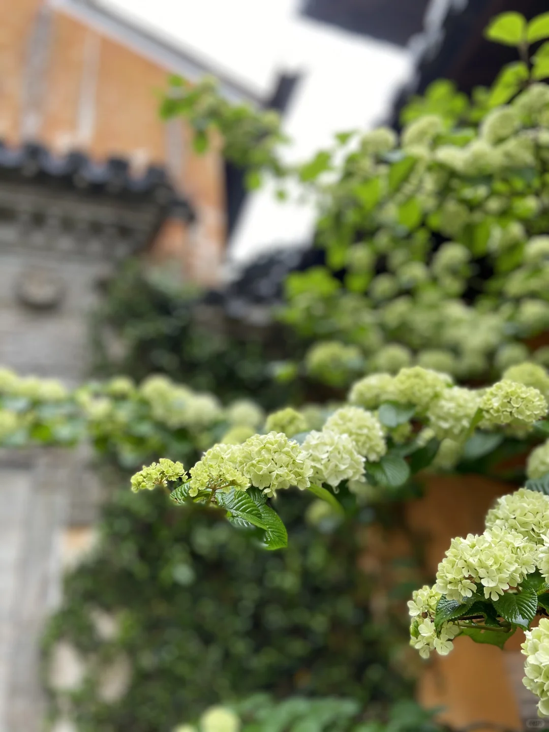 台州五日游攻略｜山海诗篇佛宗道源天台山