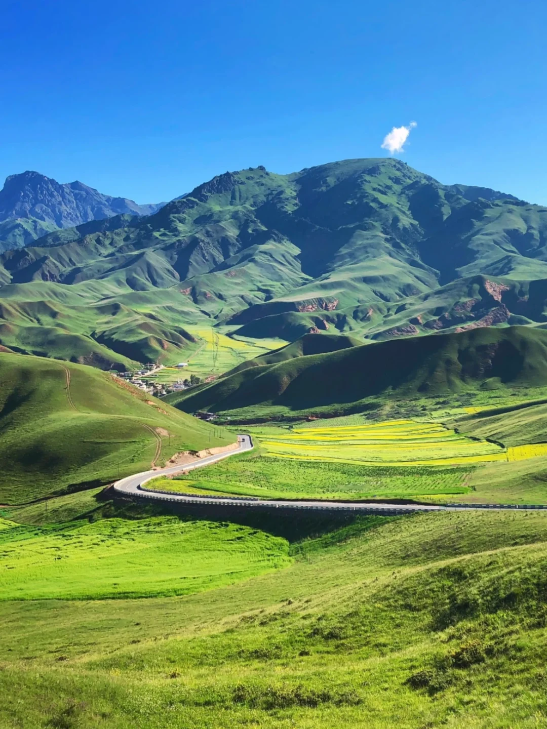 迄今为止，我去过国内最美的8个的草原