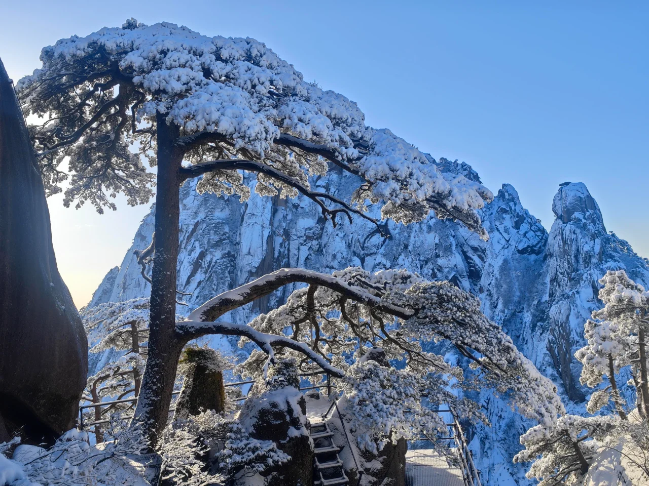 2025黄山14处A级以上景区免费游，赶紧码住