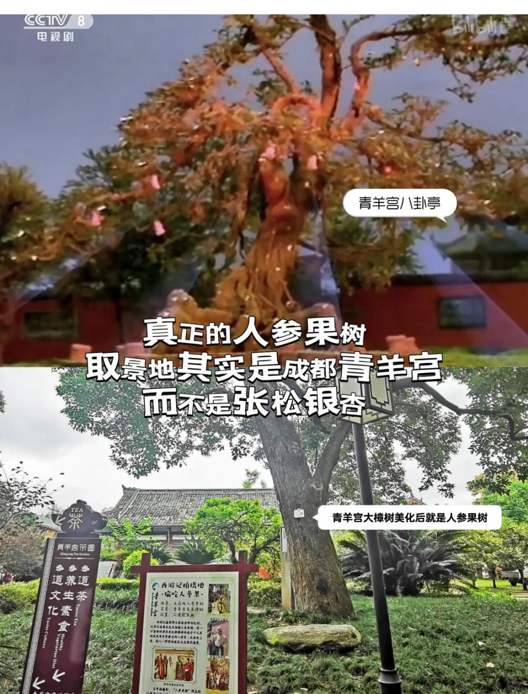 西游记居然在都江堰景区❗️拍了这么多取景地