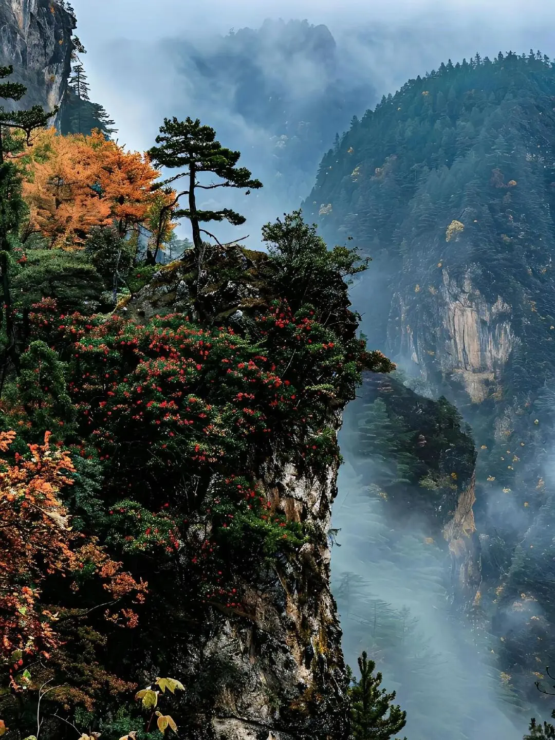 九寨沟|误入现实版童话仙境🏞️